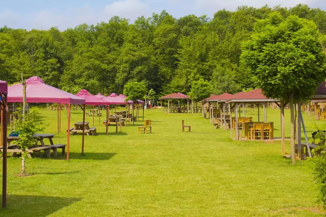 Piknik Mekanları - Doğa ile İç İçe Özel Alanlar